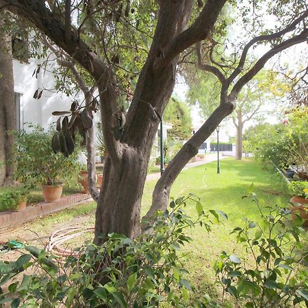 Del Parque Flats Villa Sauce Chilches  Exterior foto